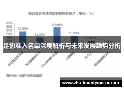 足协准入名单深度解析与未来发展趋势分析 足协准入名单深度解析与未来发展趋势分析